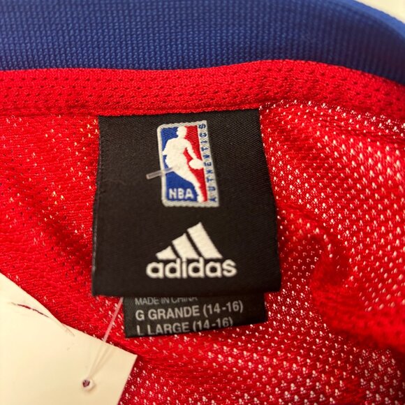 L (Y) NBA Pistons Hamilton Jersey - Picture 3 of 6